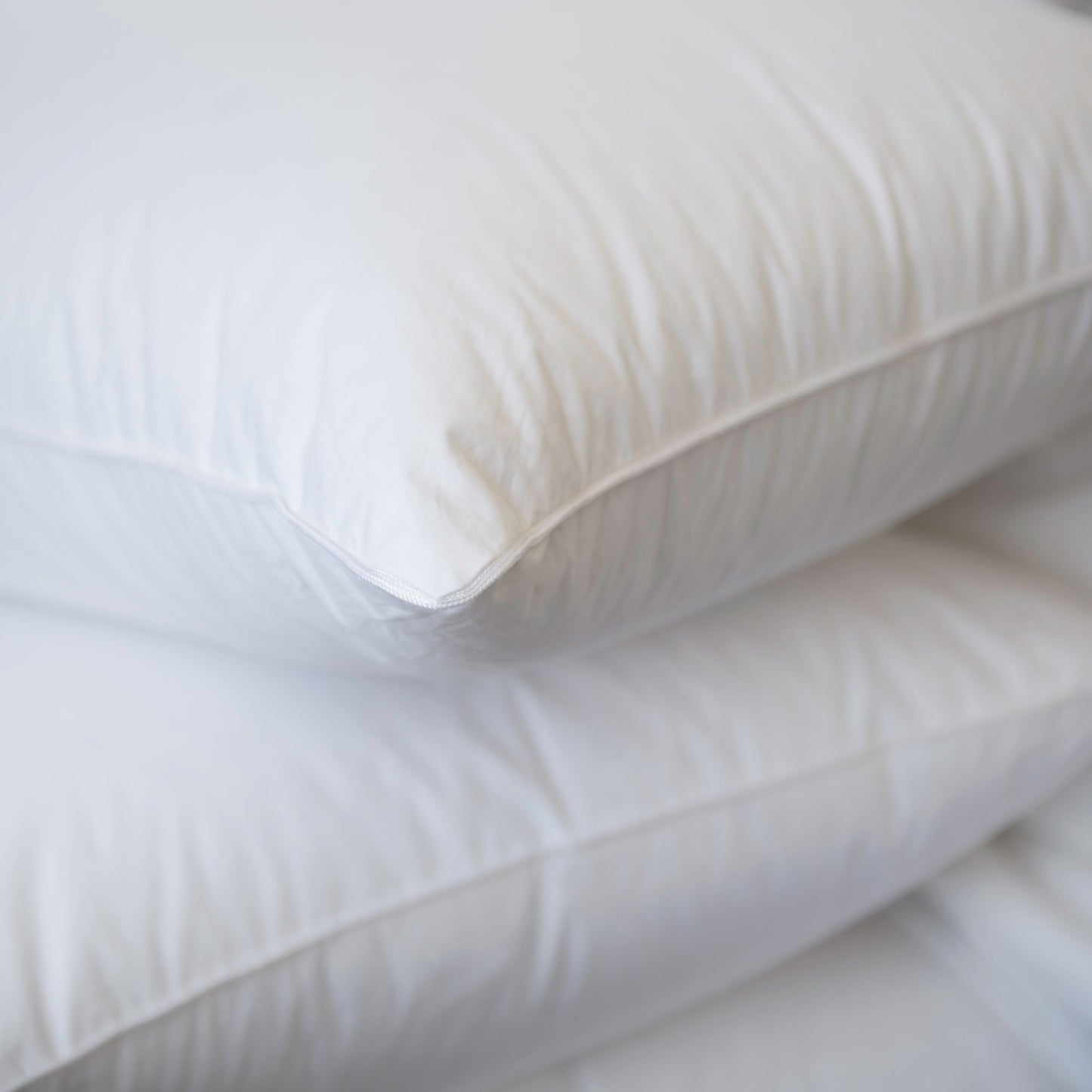 NEW ARRIVALS | Heirloom by St Geneve | Down Pillow
