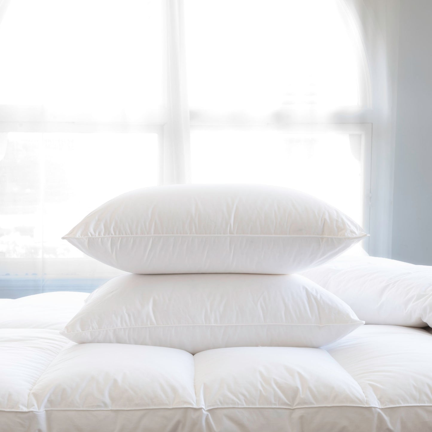 NEW ARRIVALS | Heirloom by St Geneve | Down Pillow