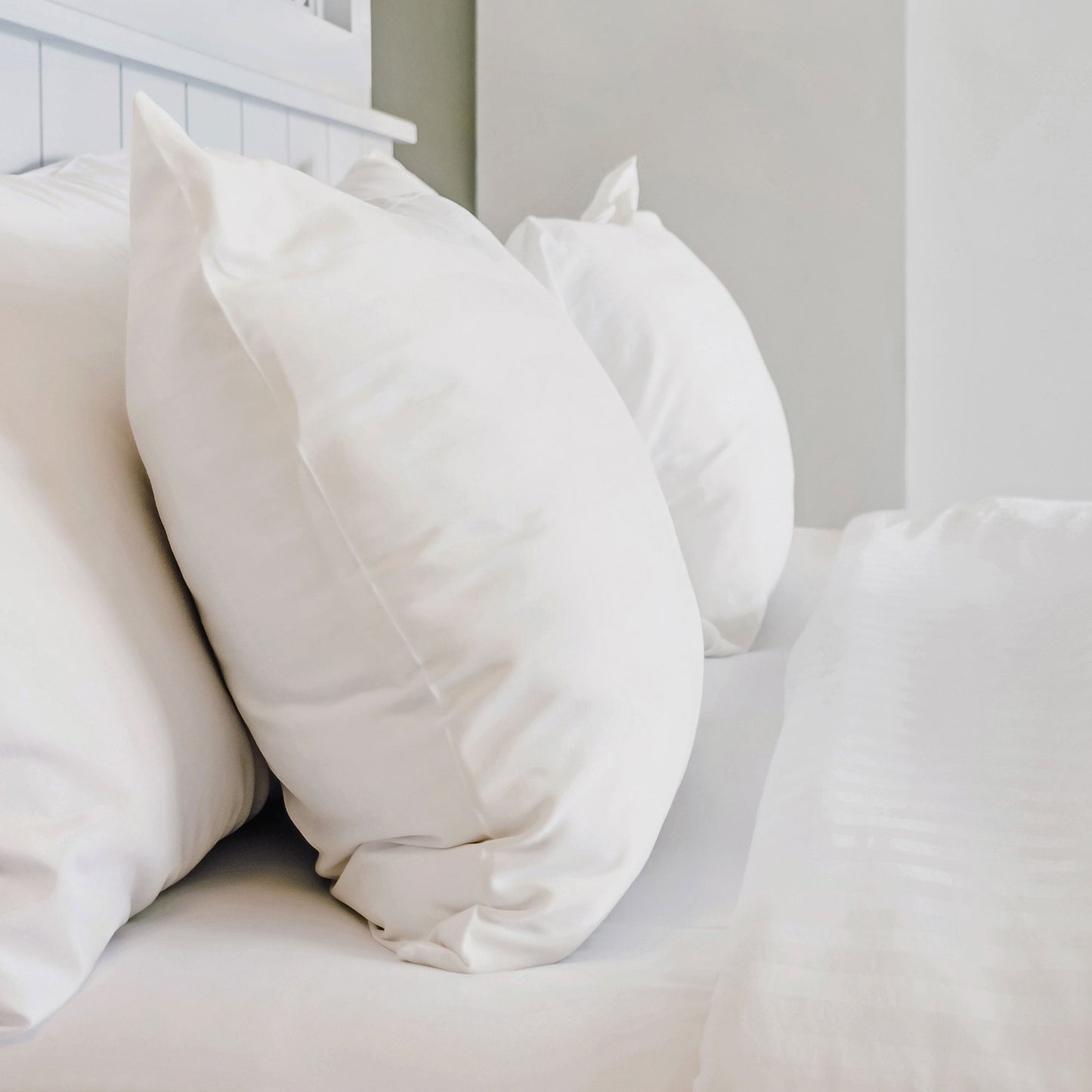 Organic Pillow Protector | St Geneve