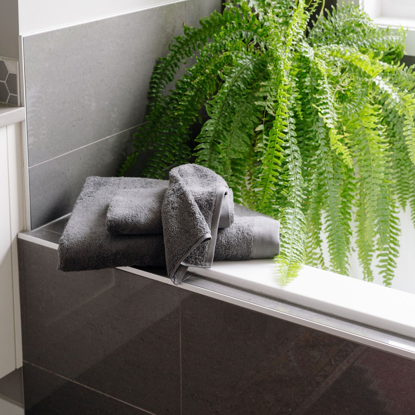 Puro | Cotton Towels