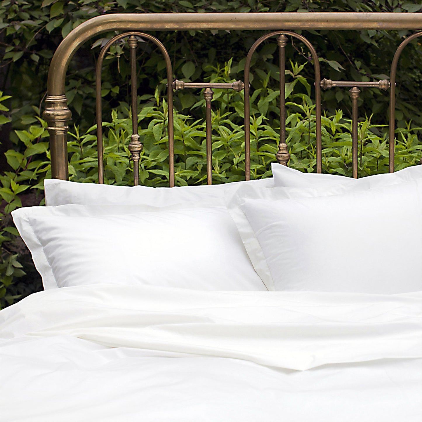 Nico Organic | Pillowcases and Shams