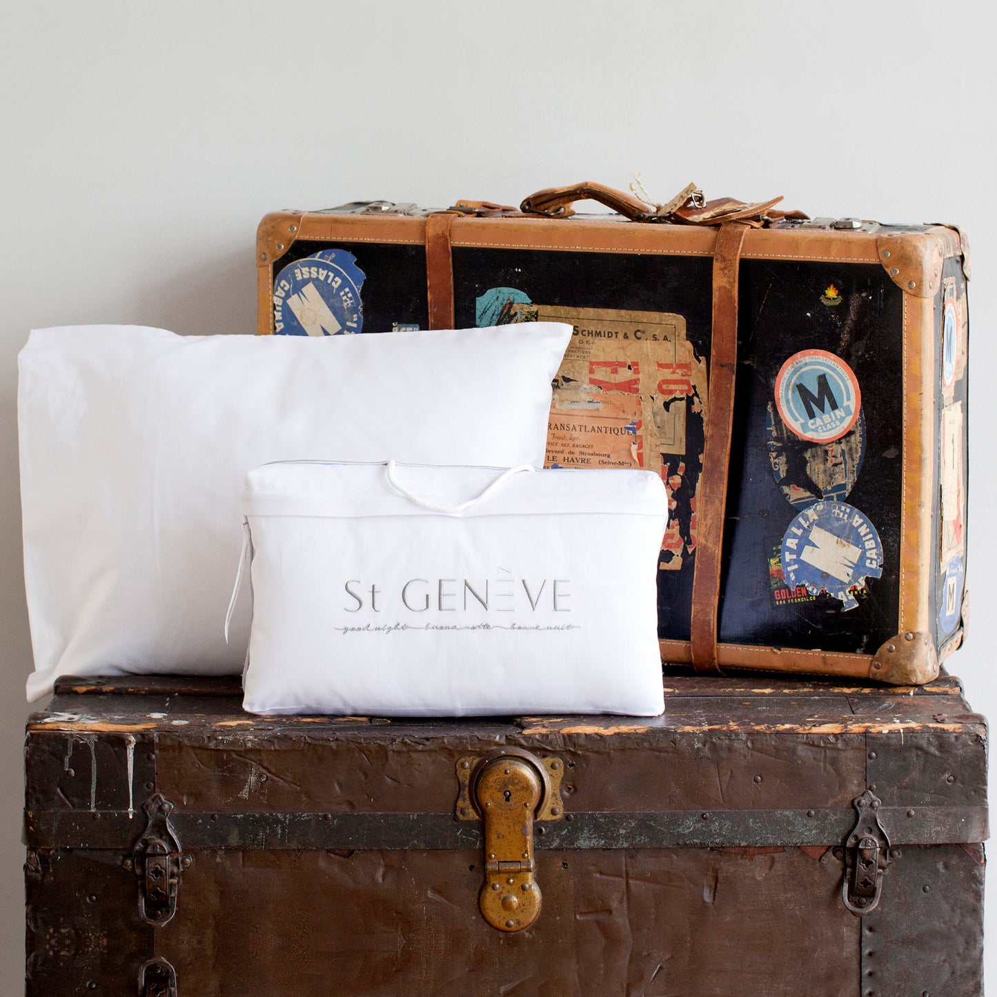 Travel Pillow by St Geneve | White Goose Down