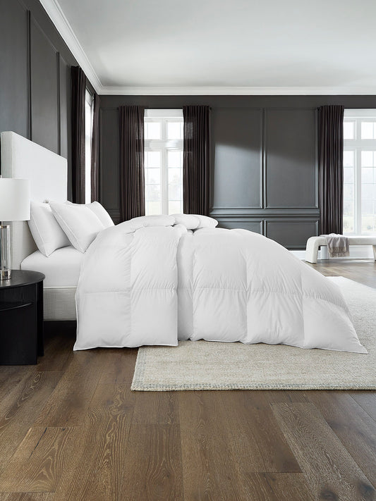 Cardigan Duvet by Sferra | 800+ Loft White Goose Down
