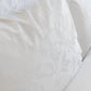 New Arrival | Giza 92 Flora Egyptian Cotton | Pillowcase & Shams |by St Geneve