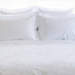 New Arrival | Giza 92 Flora Egyptian Cotton | Pillowcase & Shams |by St Geneve