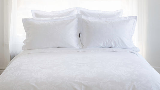 New Arrival | Giza 92 Flora Egyptian Cotton | Pillowcase & Shams |by St Geneve
