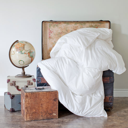 Summer Travel Bundle -  Duvet and Pillow